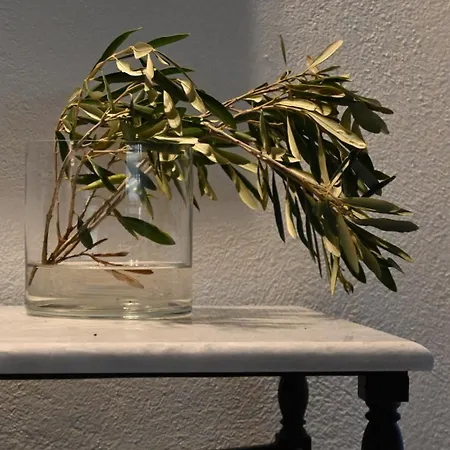 아파트 Casa Gio Kavvadades